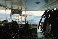 DSC_4049.jpg