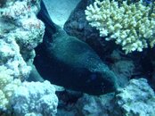 DSCF1618.jpg