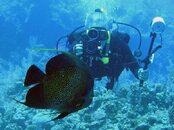 Dickie and French Angelfish.jpg