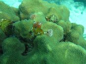 IMG_2534.jpg