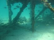 IMG_2359.jpg