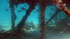 IMG_2359-corrected.jpg