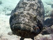 IMG_2236.jpg