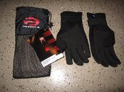 IMG_1501a.jpg