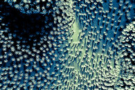 02-DSC00533-Edit.jpg