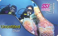 Uncertified Diver Card.jpg