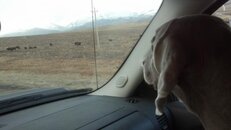 2012-10-20_09-48-54_588.jpg 2012-10-20_09-48-54_588.jpg
