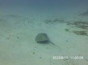MICR0812.JPG