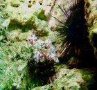 IMG_2687.jpeg