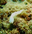 IMG_2684.jpeg