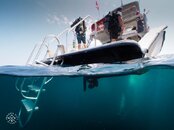 DiveBoat overunder shot.JPG