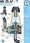Handout_Mk25.jpg