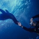 IMG_20241225_144827_839.jpg