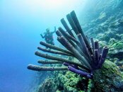 dji_mimo_20250910_171518_0_1757553712524_photo~2.jpg