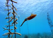 dji_mimo_20250911_112102_0_1757626908275_photo~2.jpg