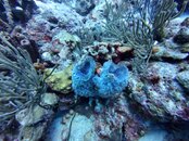 dji_mimo_20250911_153518_0_1757625572081_photo.jpg