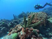 dji_mimo_20250911_104920_0_1757627076196_photo.jpg