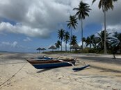 IMG_6100.JPG
