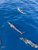 IMG_6222.JPG