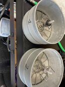 IMG_2958.jpeg