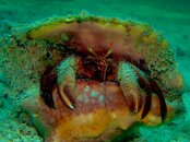 IMG_3779.jpeg