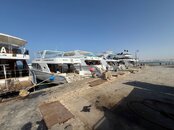 IMG_2125.jpg