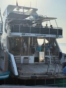 IMG_2381.jpg