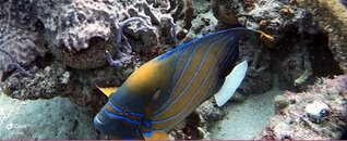 IMG_4103.jpeg
