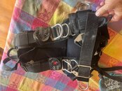 IMG_1853.jpeg