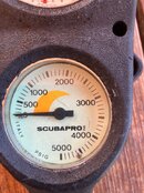 IMG_1963.jpeg