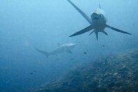 IMG_7780.jpg