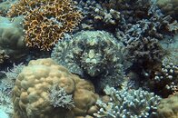 IMG_7843.jpg