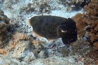 IMG_7861.jpg
