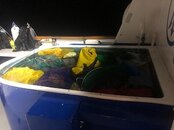 IMG_0676.jpeg