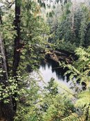 IMG_8746.jpeg
