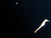 422802_10101696960200004_555950137_n.jpg 422802_10101696960200004_555950137_n.jpg