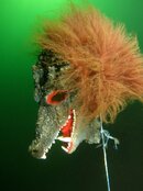 IMG_3586-A Scary sight.jpg