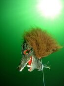 IMG_3587-A Scary Sight 1.jpg