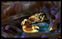 DSC_6140 (1).jpg