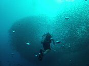 GOPR5496.jpg