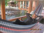 hammock.jpg hammock.jpg