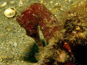 BHB 11 14 5.jpg