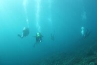 IMG_6095.jpg