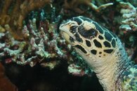 IMG_6226.jpg