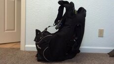2012-11-19_13-03-10_772.jpg