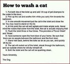How-to-Wash-A-Cat.jpg