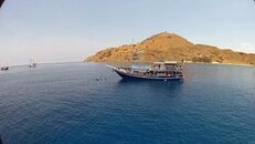 Komodo_002.jpg