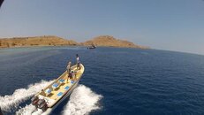 Komodo_004.jpg