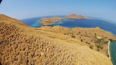 Komodo_006.jpg