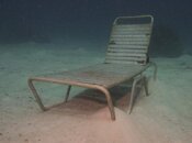 Chair.jpg